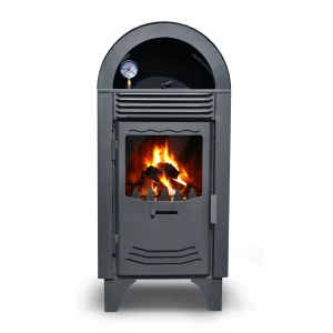 Termosemineu CELSIUS SAB25 kW-image1
